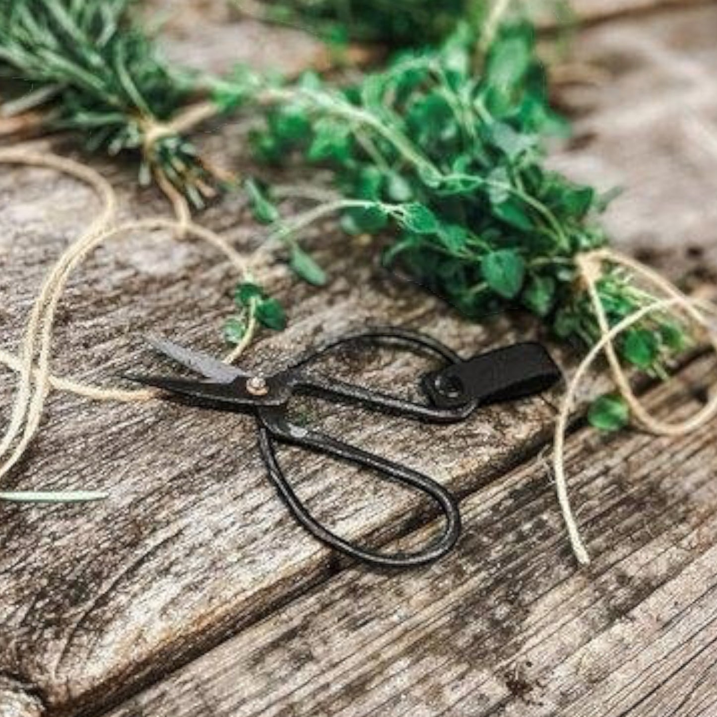 by Benson Schere Sax Lux Schwarz