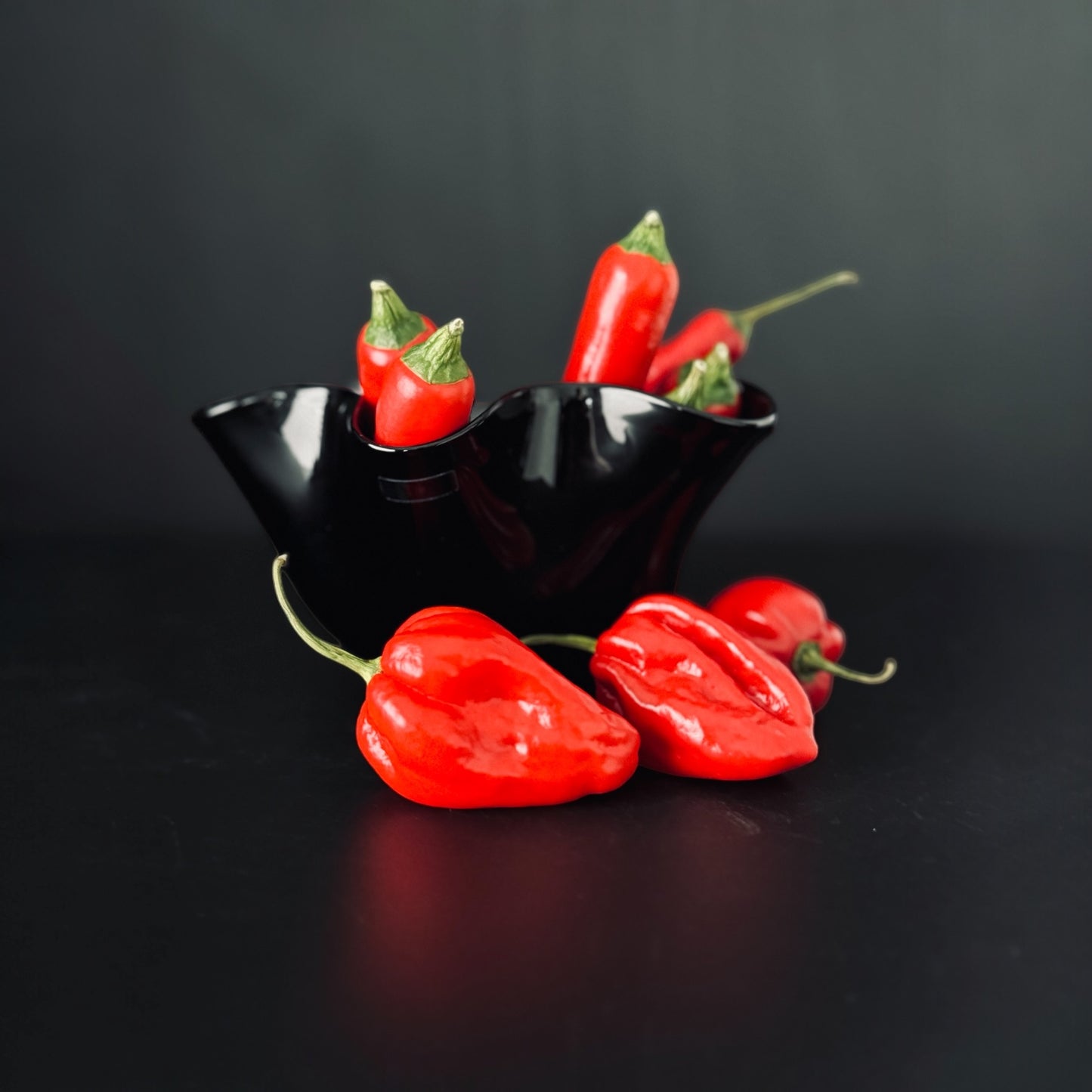 Byon Bowl Cara Schwarz