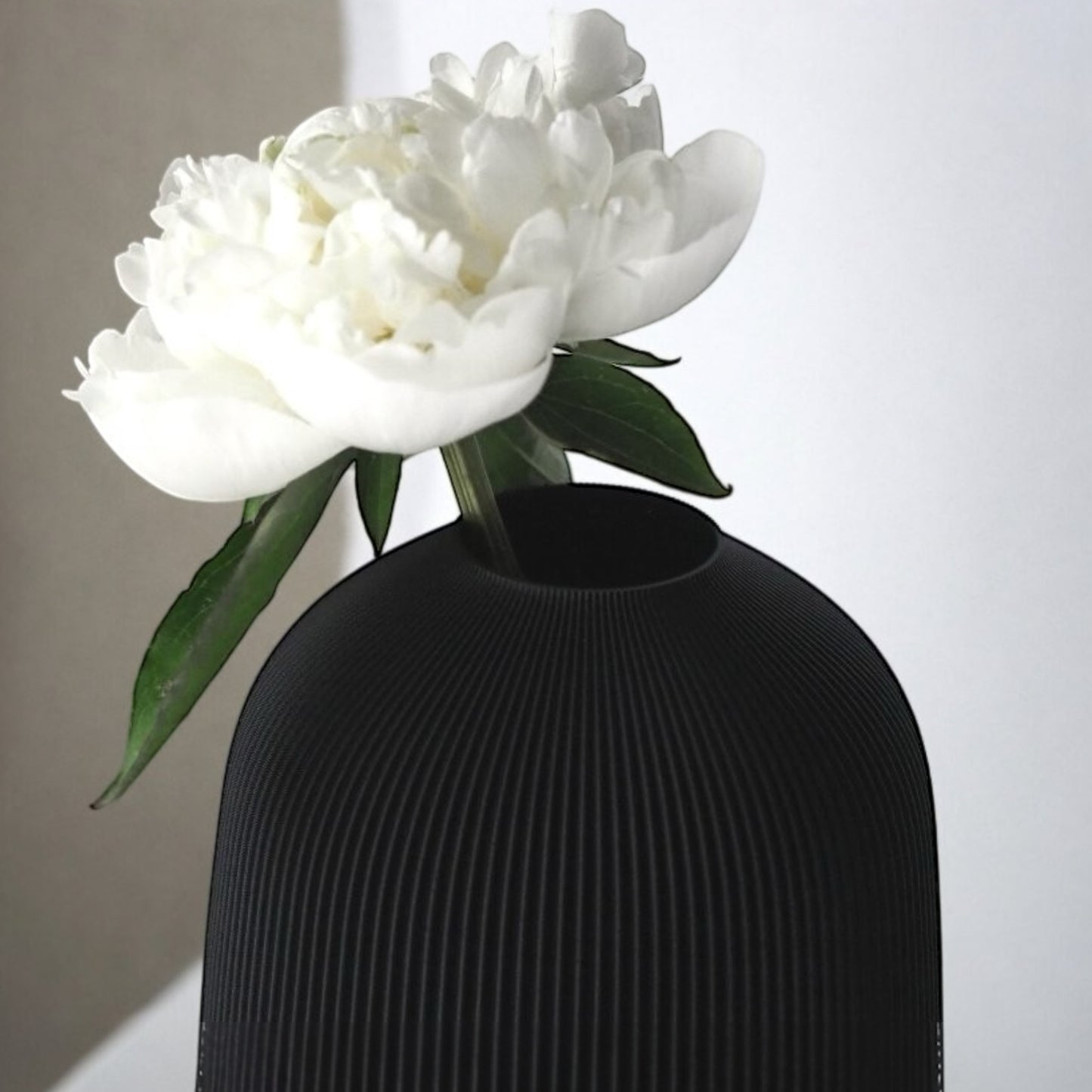 Vanessa Hartz Vase 3D Schwarz