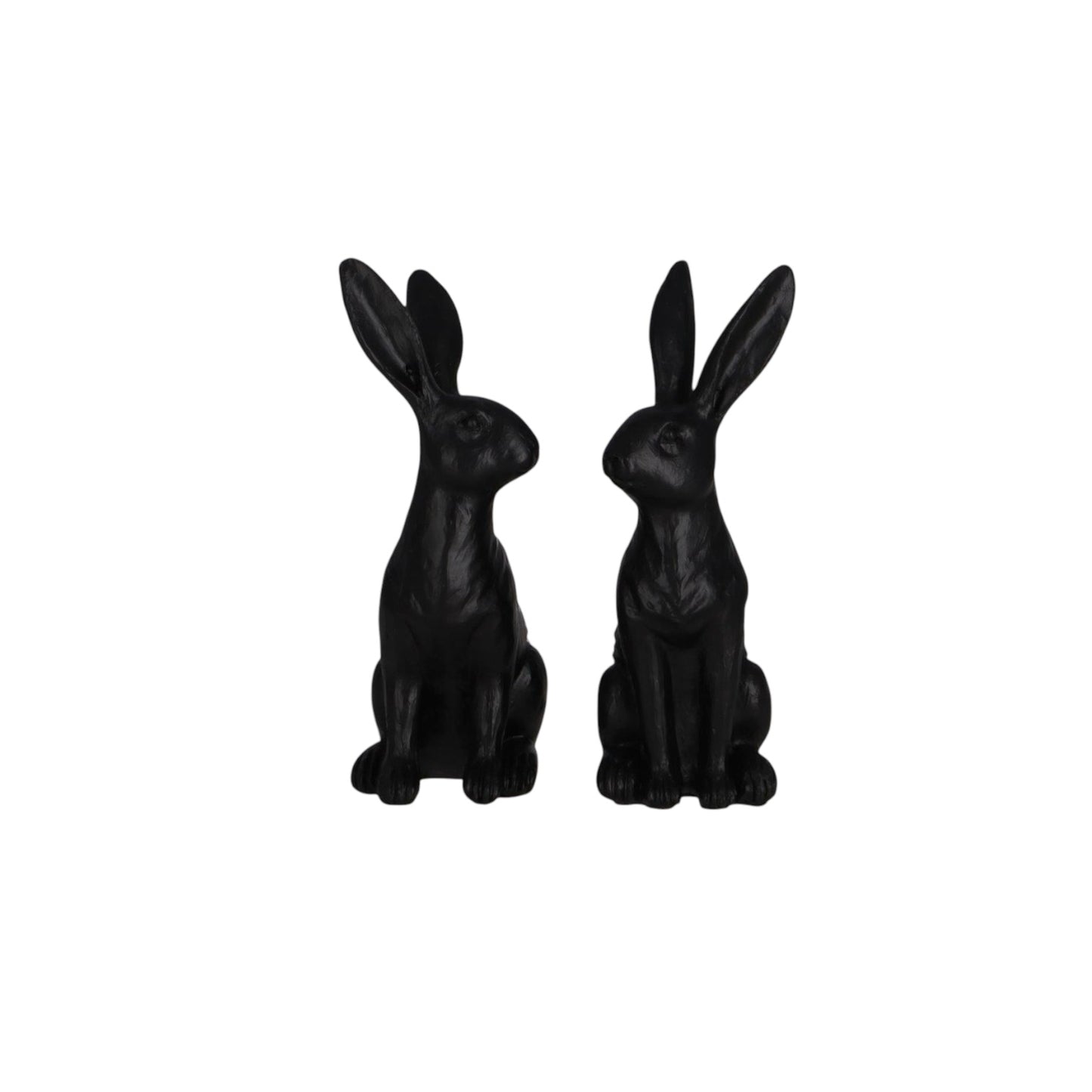 Vosteen Hase Robby M (2-er Set) Schwarz